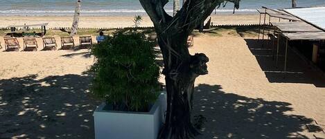 A pool area with a tree, beach chairs, and a view of the ocean.