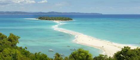 A beach with clear turquoise waters, a sandy shore, and dense green foliage in the foreground.