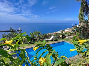 A pool with a view of the ocean, surrounded by greenery and a few lounge chairs.