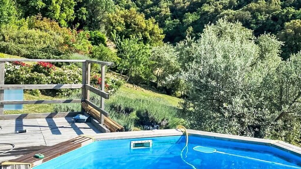 A swimming pool with a wooden deck, surrounded by lush greenery and a mountain in the background. - Stunning private villa for 7 people with WIFI, private pool, patio, pets allowed and panoramic v... (Scarlino)