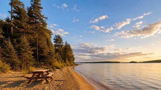 A beach with a picnic table and dense forest.