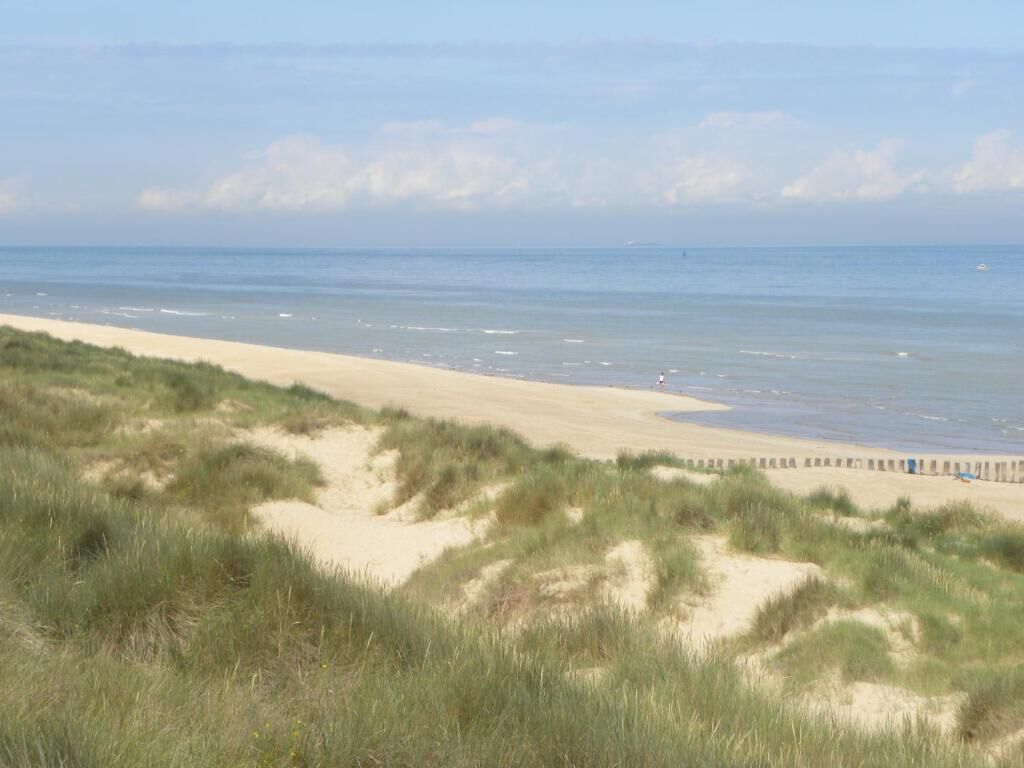 Una playa con dunas de arena y una valla de madera al fondo.