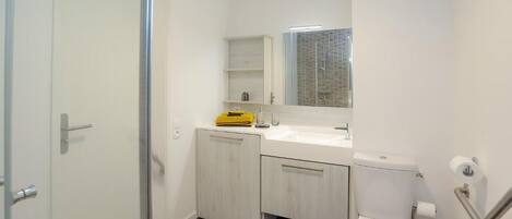 A compact bathroom with a white toilet, a sink with a mirror above it, and a shower area.