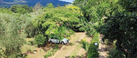 Áreas de la propiedad