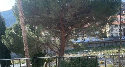 F2 soleado cerca de termas, mascotas permitidas