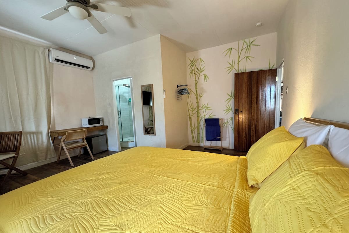 A room with a bed, a desk, a chair, an air conditioning unit, a shower, and a wooden door.