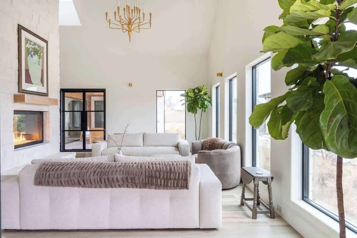 电视、壁炉、办公室