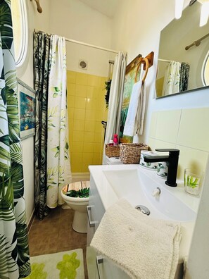 Shower, hair dryer, towels, soap - - Casa Peonia - outbuilding - beachfront (Borgo, Haute-Corse)
