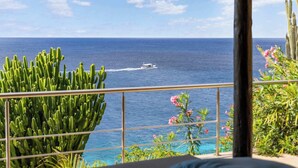 Un balcó amb vista a l'oceà, un vaixell a la distància i cactus i flors al primer pla.