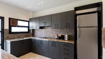 Fridge, microwave, stovetop, dishwasher