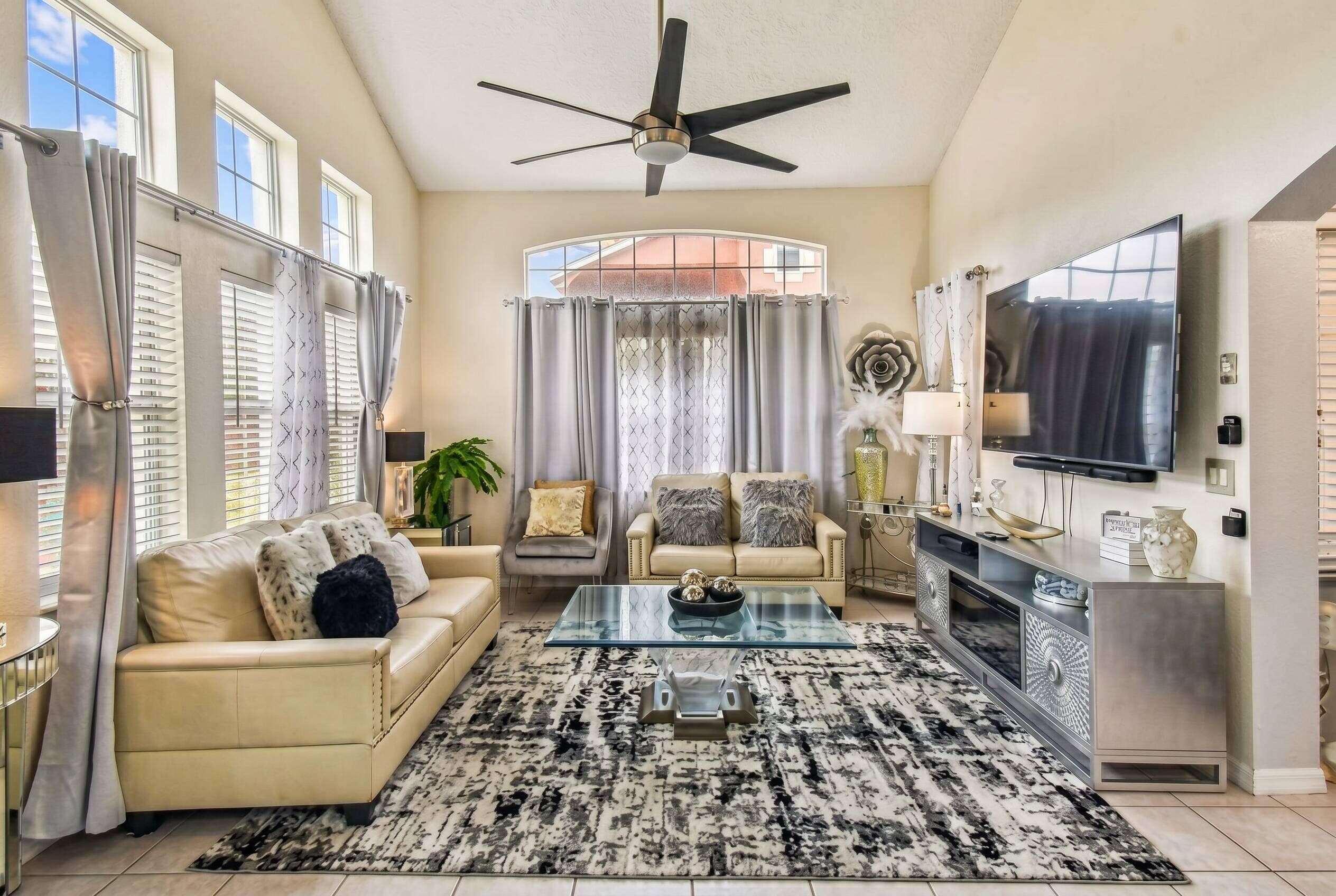 TV