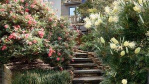 Una escalera de piedra conduce a una terraza de madera con una estatua de Buda, rodeada de arbustos y árboles en flor.