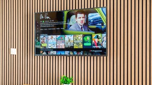 Een flatscreen televisie bevestigd aan een houten wand, met een potplant eronder.