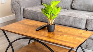 Een houten salontafel met een plant in een pot en een afstandsbediening.