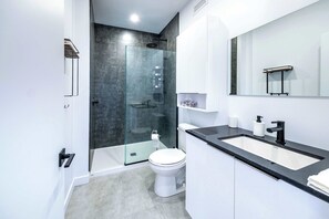 Regadera, secadora de cabello, toallas