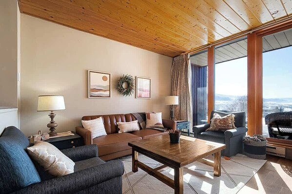 Télévision, cheminée, espaces bureaux