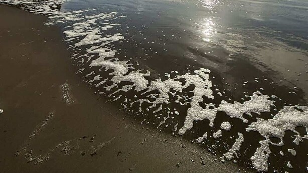 A beach with calm waves, a clear sky, and a sun setting or rising.