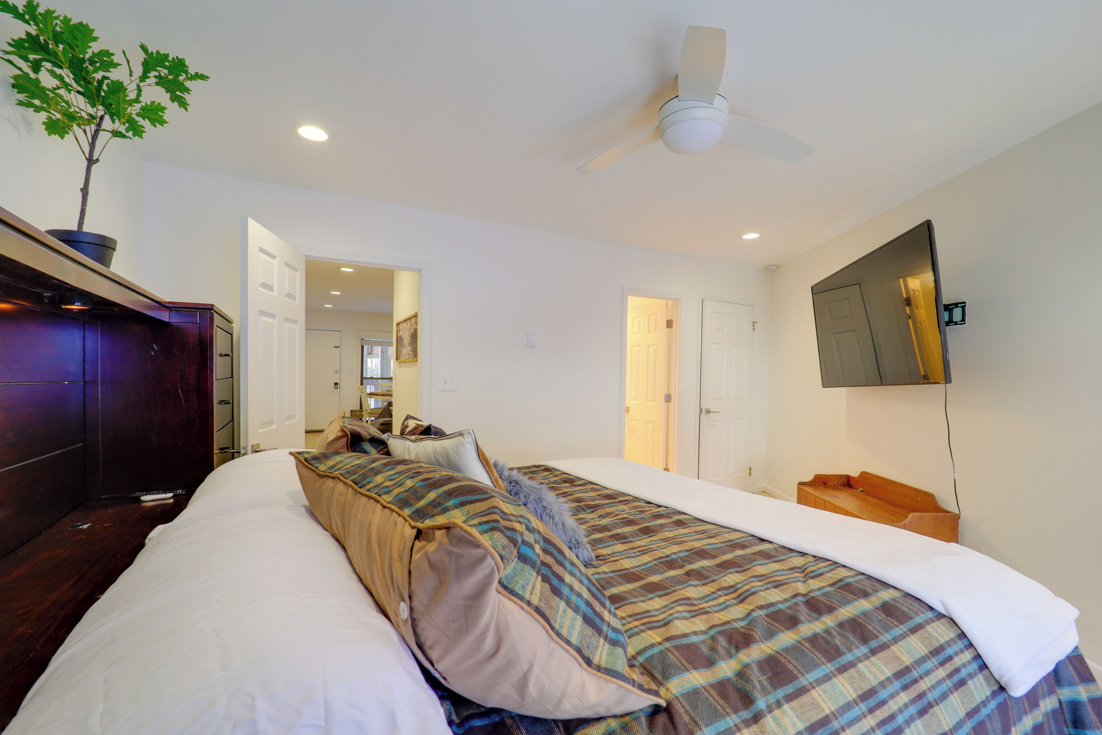 A hotel room with a bed, a ceiling fan, a TV mounted on the wall, and a plant on the dresser.