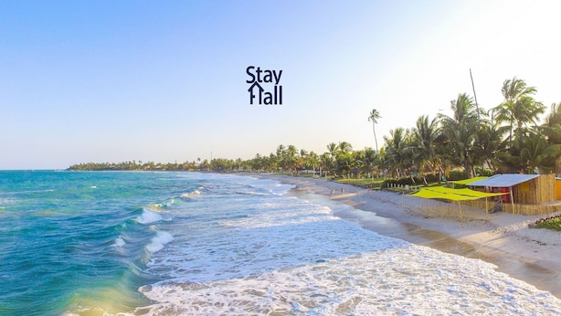 A beach with a clear sky, palm trees, and a sign that says "Stay Hall".
