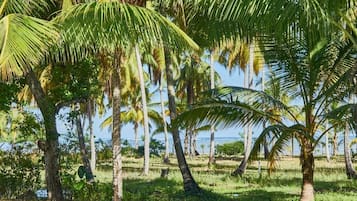 Kolam renang outdoor