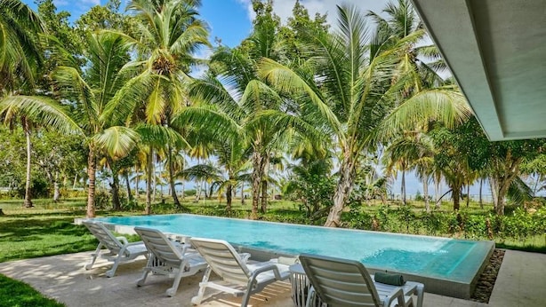 Une piscine bordée de chaises longues blanches, entourée de palmiers et de verdure.