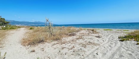 On the beach