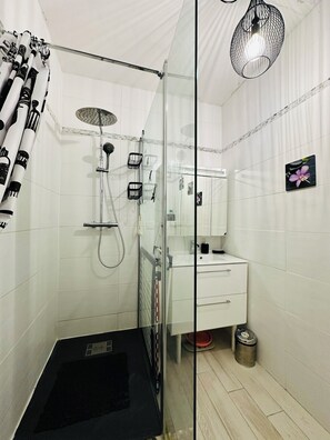 Douche, séchoir à cheveux, serviettes fournies, savon
