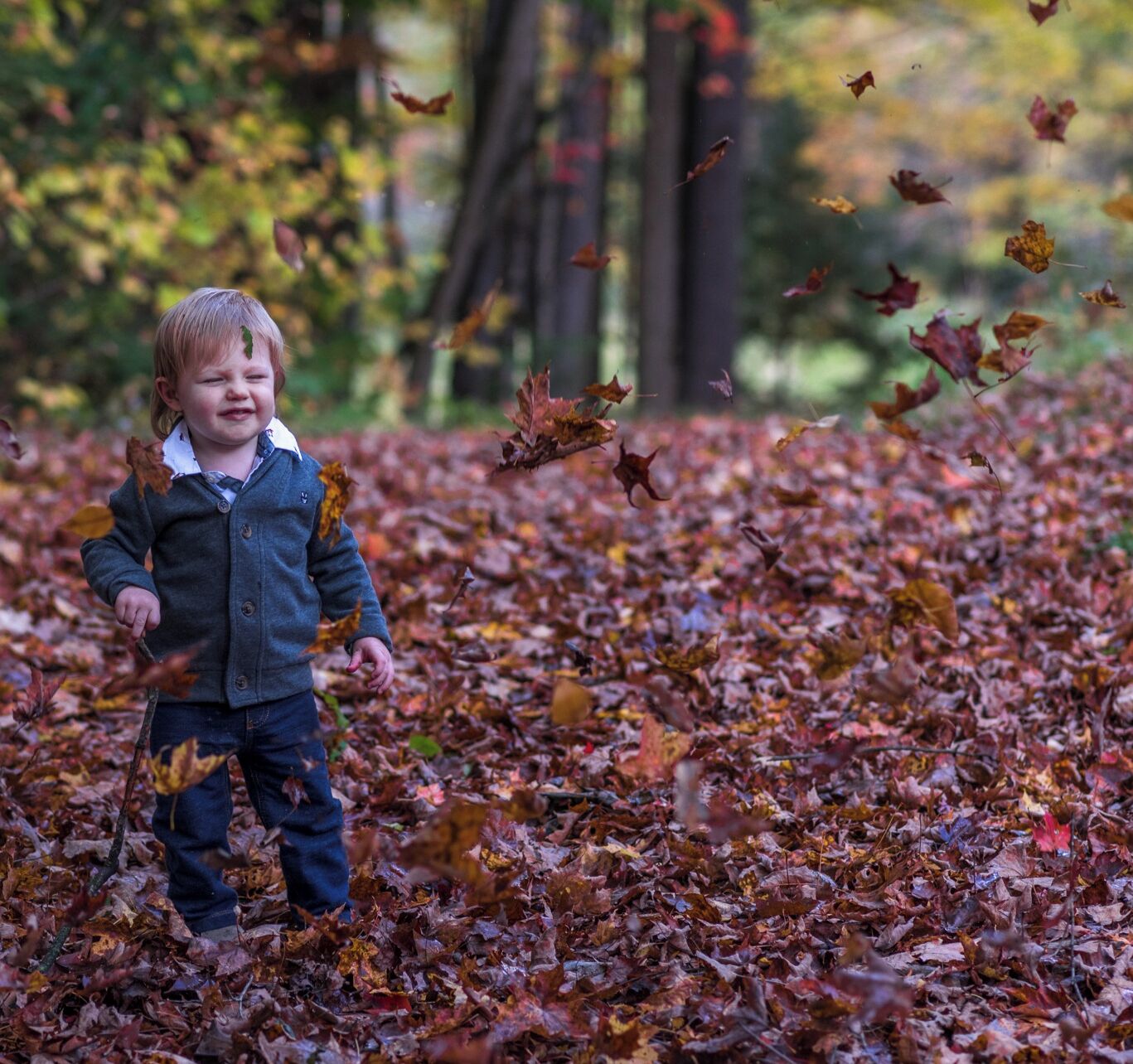 Un enfant joue dans une forêt où les feuilles sont tombées.