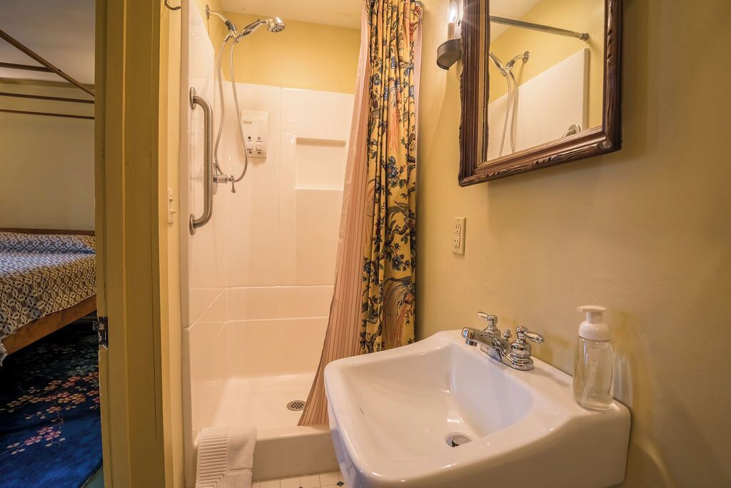 Een badkamer met een douche, een wastafel, een spiegel en een bed op de achtergrond.