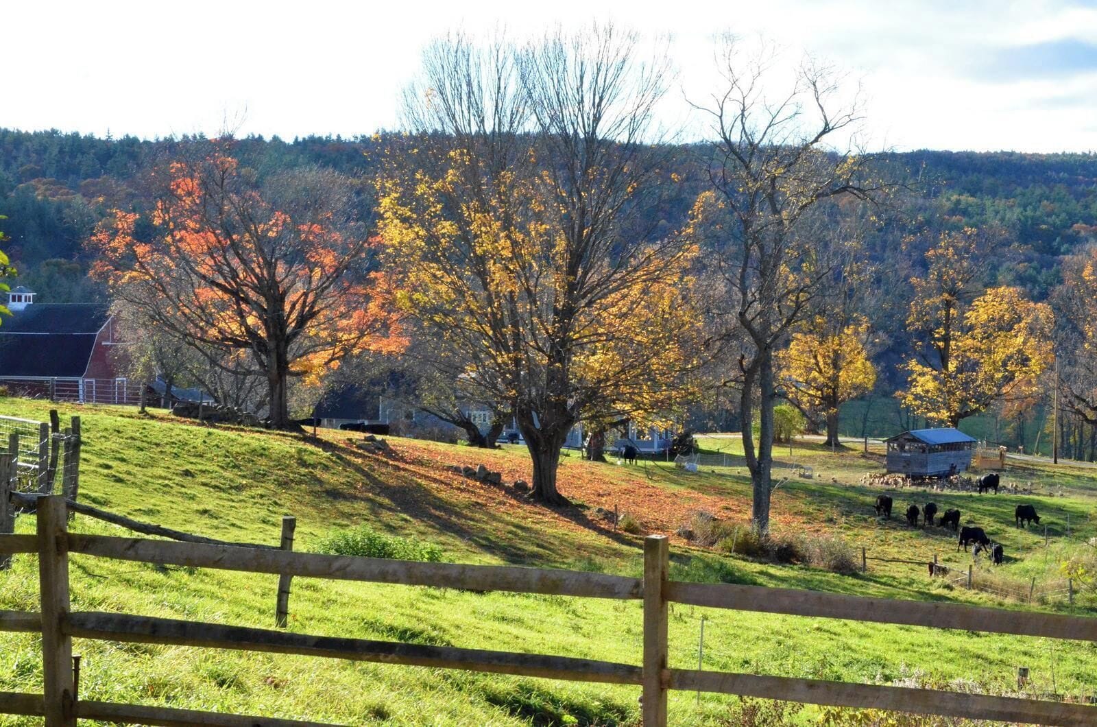 Un paysage rural avec un pré clôturé, des arbres aux feuilles d’automne et un petit bâtiment en arrière-plan.