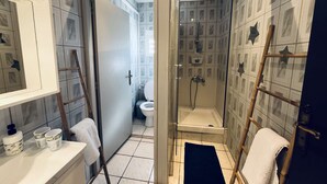 Une salle de bain avec douche, toilettes et lavabo.
