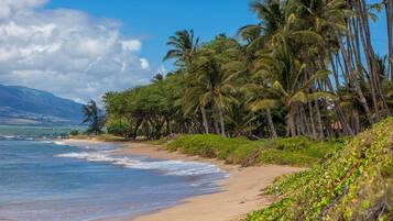 Condo, 2 Bedrooms | Beach