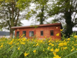 A building with a red facade, surrounded by a field of yellow flowers.
