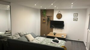 Ett modernt sovrum med en bäddsoffa, en platt-TV, en trähylla med växter och en väggklocka.