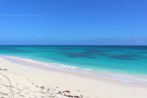 Accommodatie ligt op het strand