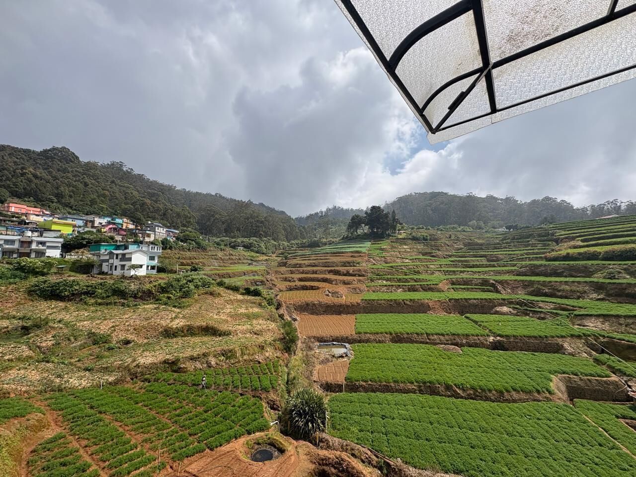 Terraced fields and a cluster of colorful buildings on a hillside.