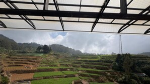 A view of terraced fields from a covered area, likely a terrace or balcony. - Rozana Retreat (Ootacamund)