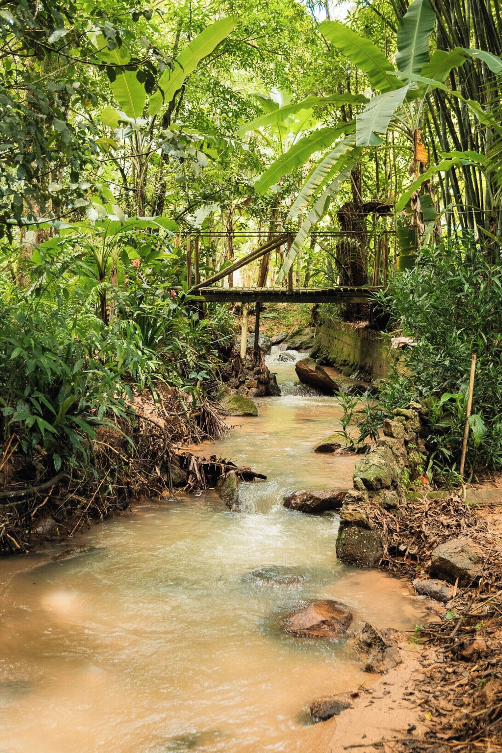 Sitio Cantinho do vovô Nilson com Lagoa - São João Batista - SC | Vistas al lago