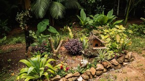 Um jardim com diversas plantas, um comedouro de pássaros e uma pequena construção de madeira.