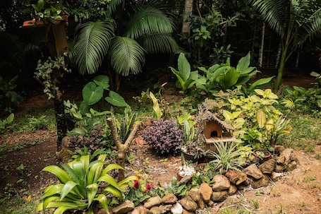 Family House | Property grounds