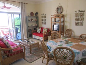 TV, DVD player, books