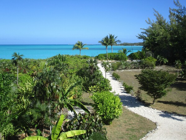 A pathway leading to a beach with lush greenery and clear blue waters.
