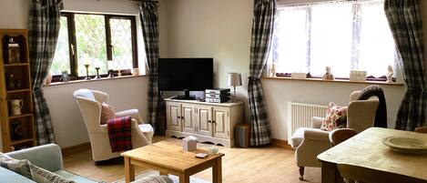 Téléviseur, lecteur de DVD, livres, sélection de musique