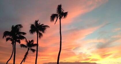 REDUCED RATES! Beautiful oceanfront 2 bed, 2 bath 3rd floor condo