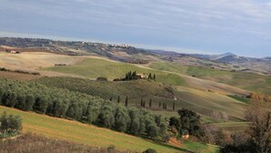 Rolling hills with olive groves and a distant village. - Hotel Garibaldi (San Quirico d'Orcia)
