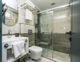 A modern bathroom with a glass-enclosed shower, a white sink, and a toilet.