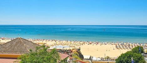 بالقرب من الشاطئ