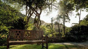 A wooden bench in a grassy area with trees and a stone wall in the background. - Sana Spa Maria Bonita (Macaé)