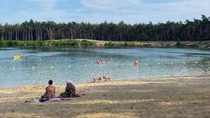 A beach with a sandy shore, a lake, and a forest in the background. - Luxury Holiday Home Vosje on the Veluwe in a Small-Scale Forest Park in Nunspeet (Nunspeet)