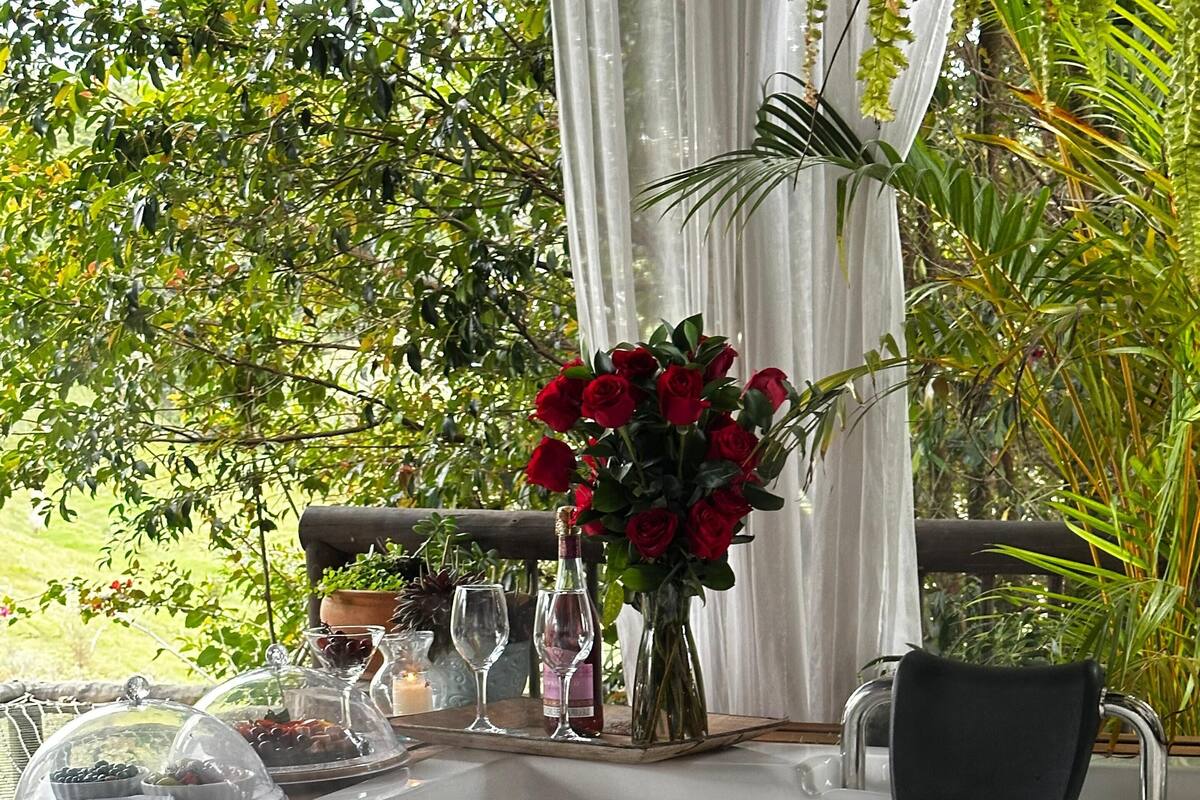 A hot tub with a glass enclosure, surrounded by potted plants and a vase of red roses.